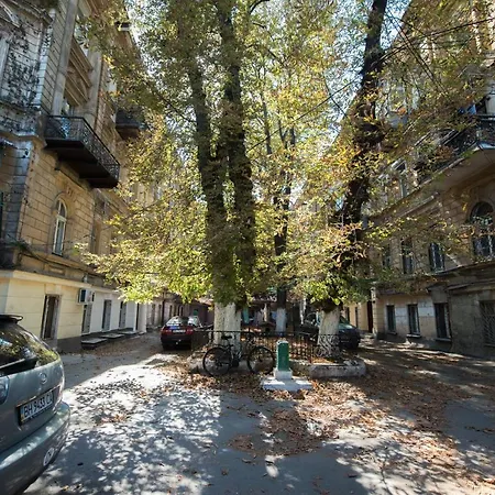 Nr. 8 4* Odesa